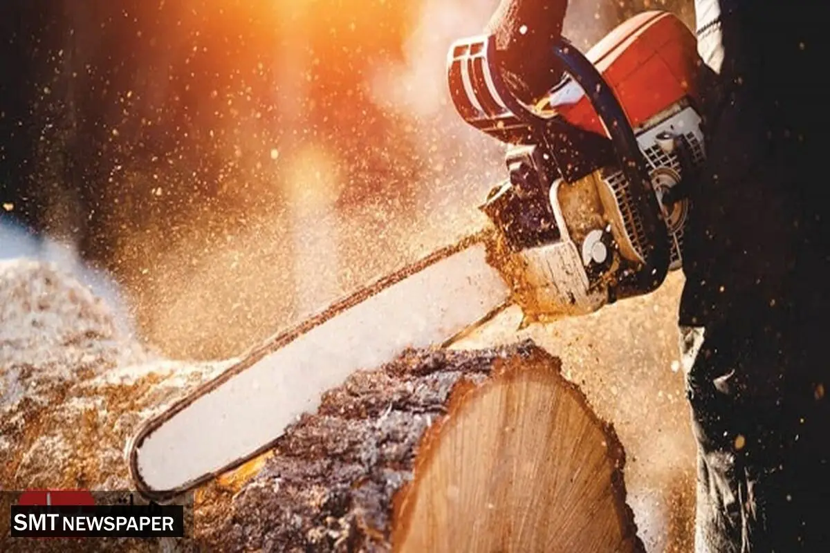 هیلتی چیست؟ معرفی کامل برند HILTI ابزارآلات صنعتی در فروشگاه هیلتی ایران