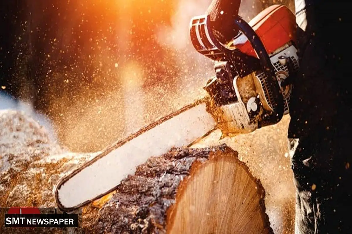 هیلتی چیست؟ معرفی کامل برند HILTI ابزارآلات صنعتی در فروشگاه هیلتی ایران