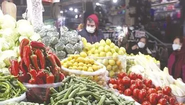 آفت‌کش‌هایی که فقط آفت نمی‌کشند