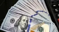قیمت دلار امروز شنبه ۸ شهریور ۱۴۰۴ + جدول