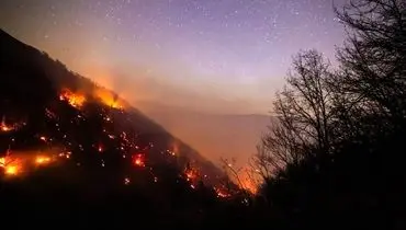 آتش‌سوزی‌های سریالی در الیت؛ جنگل‌ها قربانی بی‌مسئولیتی