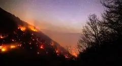 آتش‌سوزی‌های سریالی در الیت؛ جنگل‌ها قربانی بی‌مسئولیتی