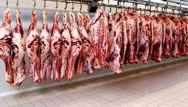 فرار سرمایه، مانع خودکفایی