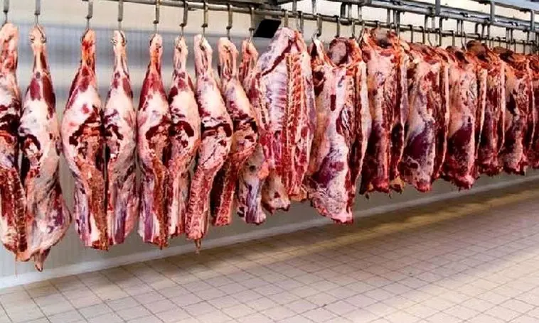 فرار سرمایه، مانع خودکفایی