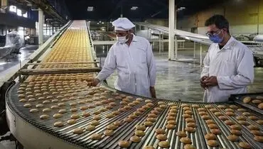 نوسان ارزی مانع اصلی نوسازی