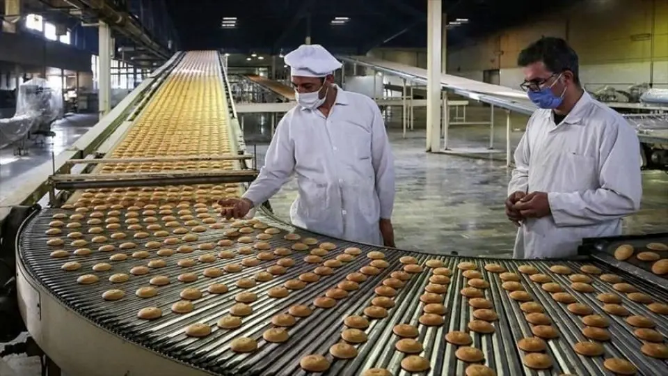 نوسان ارزی مانع اصلی نوسازی