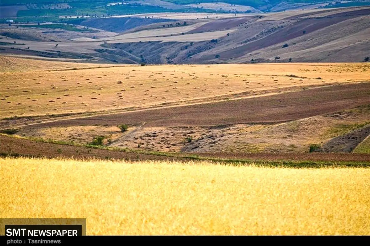 تامین امنیت غذایی در گرو توسعه دیم‌زارها