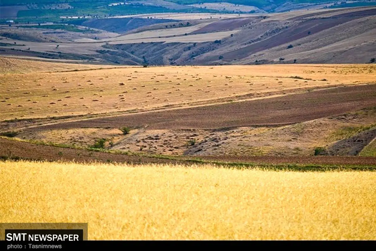 تامین امنیت غذایی در گرو توسعه دیمزارها