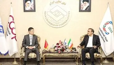 ایران و چین بر تشکیل کمیته مشترک تعاونی و توسعه همکاری‌های اقتصادی تأکید کردند