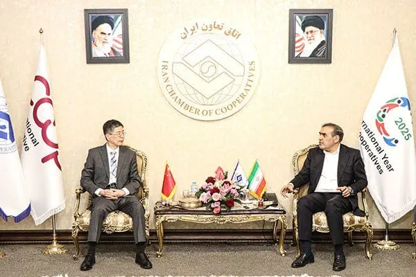 ایران و چین بر تشکیل کمیته مشترک تعاونی و توسعه همکاری‌های اقتصادی تأکید کردند
