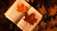  ۱۰ رمان عاشقانه که دل هر خواننده‌ای را می‌برند