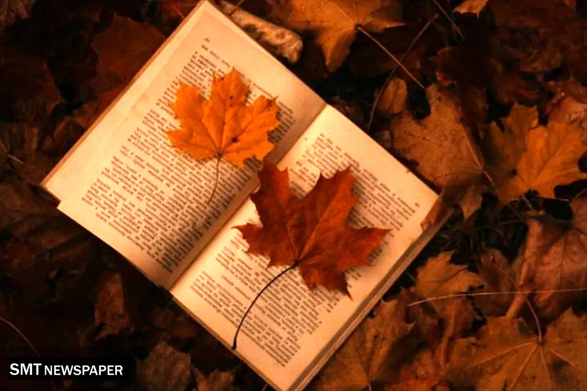۱۰ رمان عاشقانه که دل هر خوانندهای را میبرند