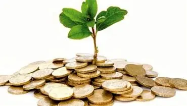 محیط‌زیست در ترازوی ناعادلانه بودجه‌ریزی