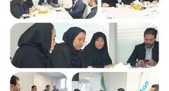 چهارمین نشست بنیاد شهید تهران و بیمه دی؛ پایش تخصصی مراکز درمانی