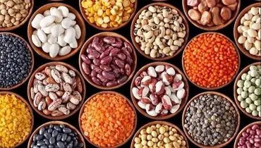 چالش‌های پنهان حبوبات در سبد غذایی خانوار