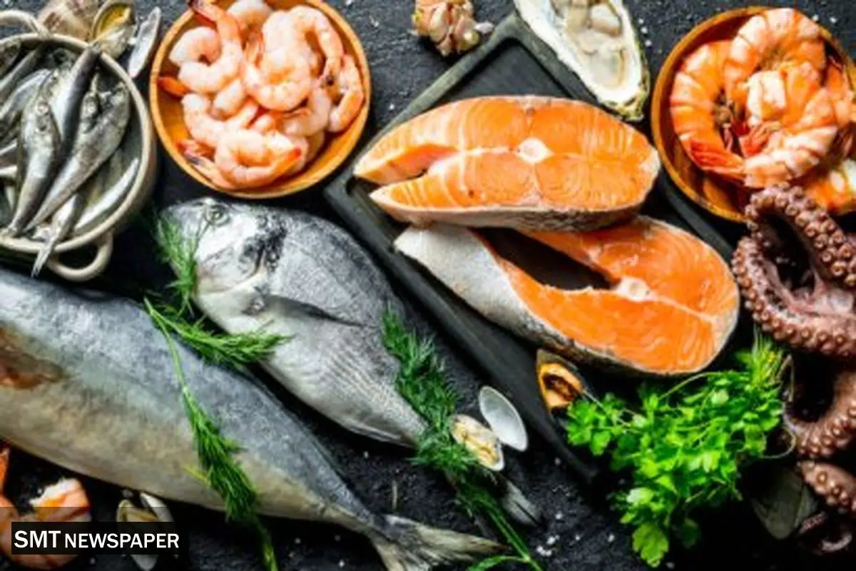 قیمت ماهی امروز سه شنبه ۴ آذر ۱۴۰۴ + جدول