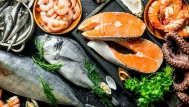 لیست قیمت انواع ماهی ۱۴ بهمن ۱۴۰۴