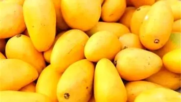 واردات این میوه استوایی آزاد شد | قیمت هرکیلو چند؟