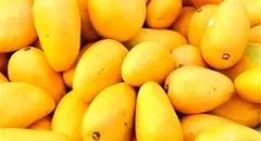 واردات این میوه استوایی آزاد شد | قیمت هرکیلو چند؟