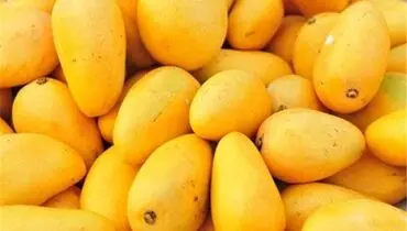 واردات این میوه استوایی آزاد شد | قیمت هرکیلو چند؟