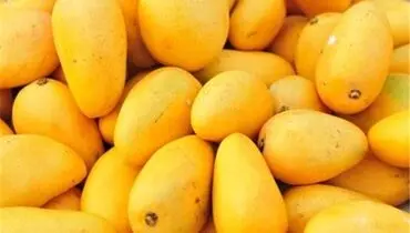 واردات این میوه استوایی آزاد شد | قیمت هرکیلو چند؟
