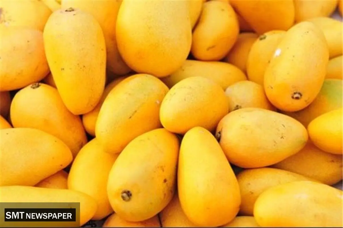 واردات این میوه استوایی آزاد شد | قیمت هرکیلو چند؟