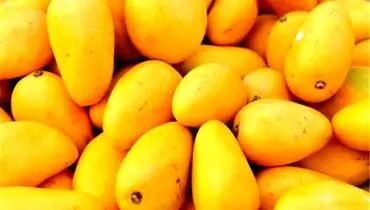 واردات این میوه استوایی آزاد شد | قیمت هرکیلو چند؟