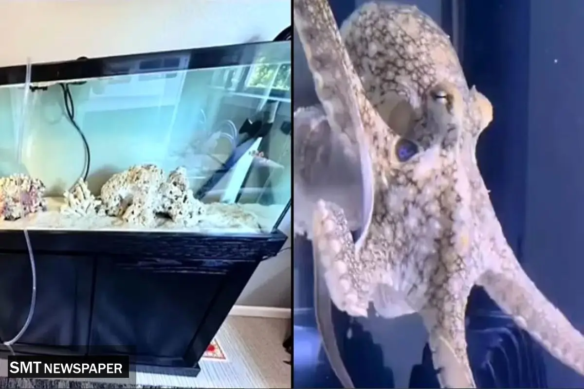 حیوان خانگی موجب دردسر خانواده شد