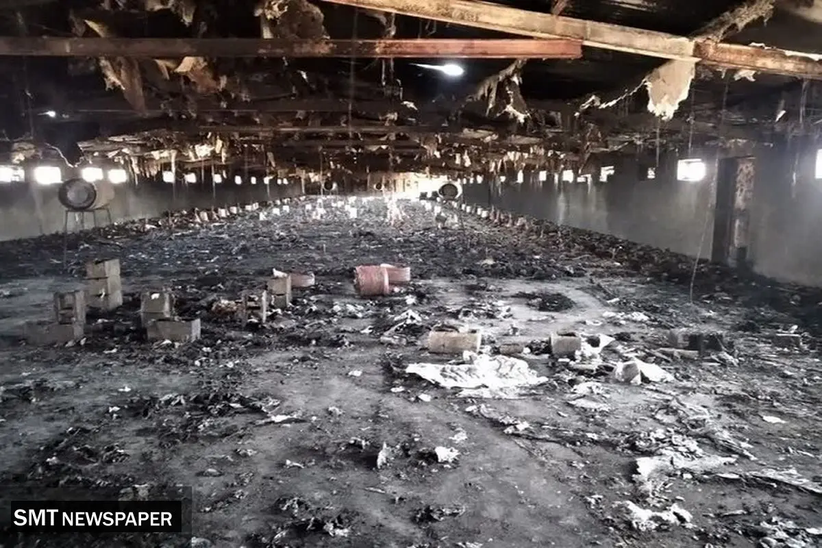 حریق در مرغداری ؛ دو نفر جان باختند