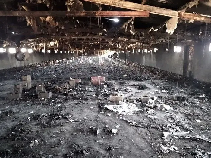 حریق در مرغداری ؛ دو نفر جان باختند