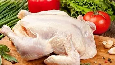 قیمت گوشت مرغ تازه امروز یکشنبه ۱۳ مهر ۱۴۰۴ + جدول