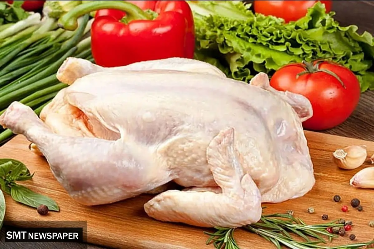 قیمت گوشت مرغ تازه امروز یکشنبه ۱۳ مهر ۱۴۰۴ + جدول