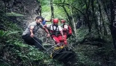 مرگ مشکوک دختر جوان در جنگل؛ قبل از مرگ برای دو نفر پیام فرستاد