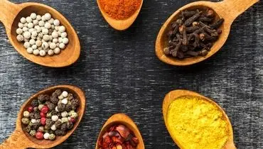 تندیس صنعت پارس کهن؛ شریک راهبردی در تأمین محصولات کشاورزی و غذایی