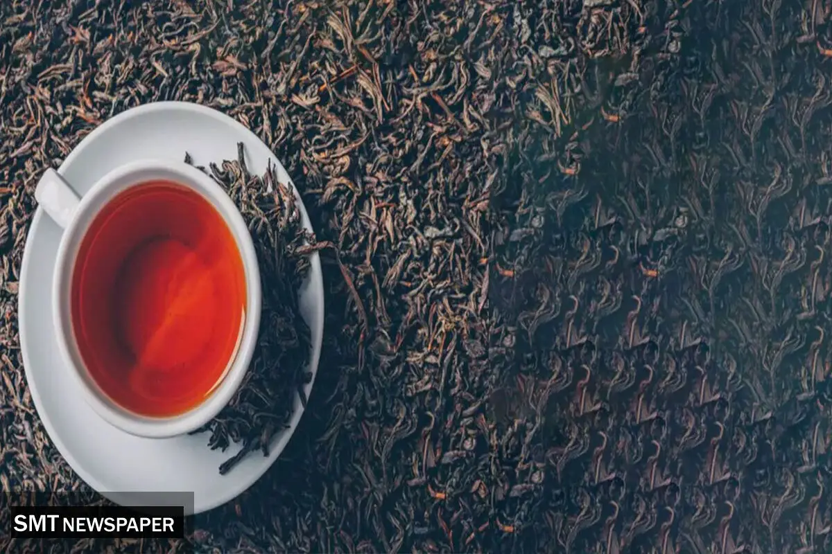 مزایده اموال مفسدان پرونده چای دبش