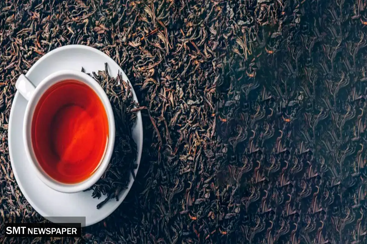 مزایده اموال مفسدان پرونده چای دبش