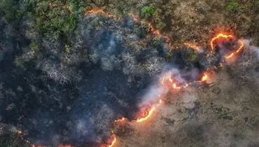 موج جدید حریق در جنگل‌های شمال؛ توسکستان درگیر آتش