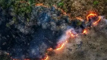 موج جدید حریق در جنگل‌های شمال؛ توسکستان درگیر آتش