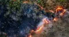 موج جدید حریق در جنگل‌های شمال؛ توسکستان درگیر آتش