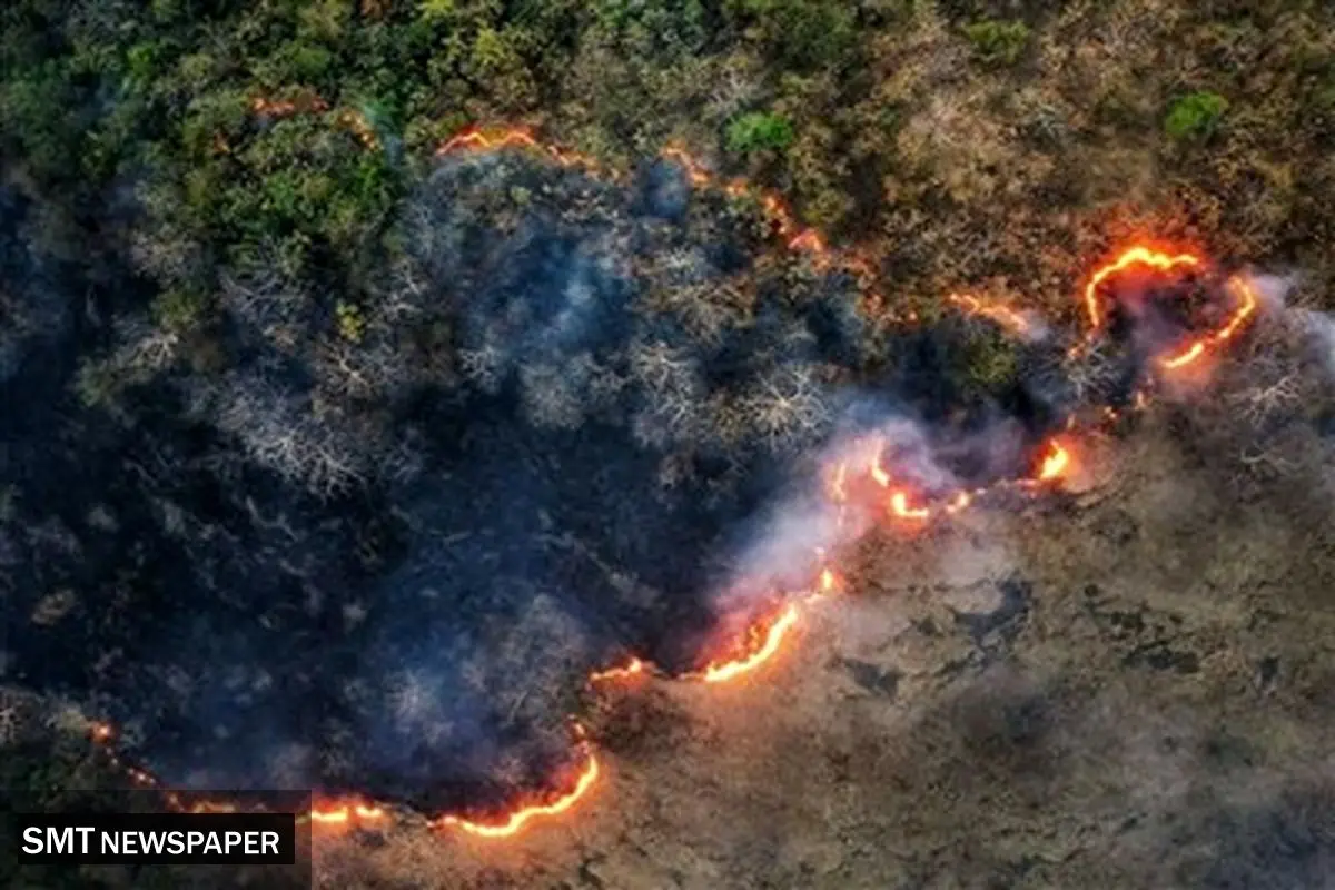 موج جدید حریق در جنگل‌های شمال؛ توسکستان درگیر آتش