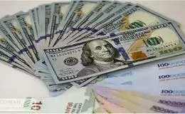 قیمت دلار بی‌مهار امروز سه شنبه ۹ دی ۱۴۰۴ + جدول