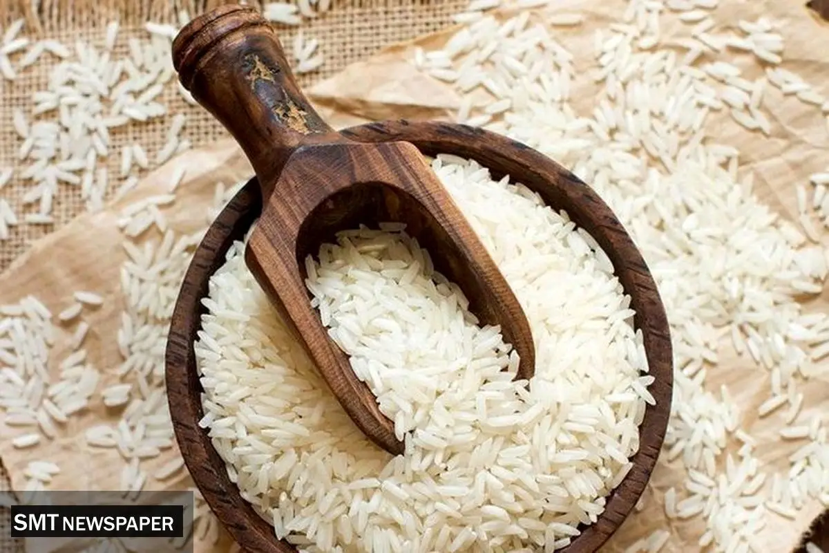 رکورد گرانی برنج در یک دهه؛ جهش ۲۶.۷ درصدی با حذف ارز ترجیحی 