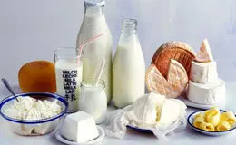 لبنیات در مسیر گرانی/ شیر خام دوباره گران شد