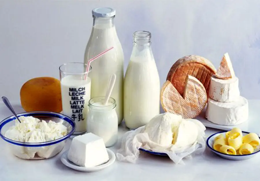 قیمت لبنیات امروز شنبه ۲۹ آذر ۱۴۰۴ + جدول