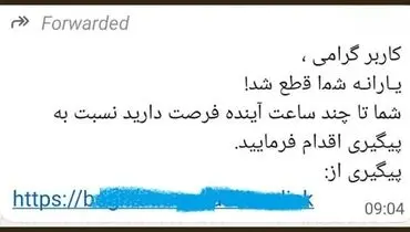 کلاهبرداری اینترنتی با لینک‌های جعلی یارانه؛ هشدار پلیس فتا