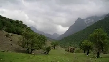  زاگرس در آتش بی‌توجهی می‌سوزد