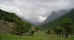  زاگرس در آتش بی‌توجهی می‌سوزد