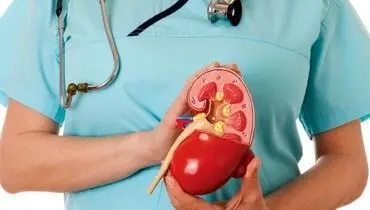 با این راهکار کلیه خود را بیمه کنید