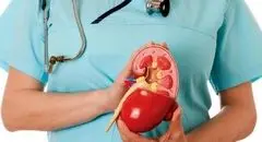 با این راهکار کلیه خود را بیمه کنید