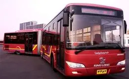 شهرداری تهران به این گروه از بانوان هدیه می‌دهد